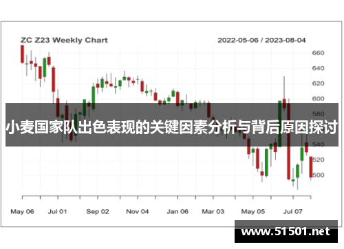 小麦国家队出色表现的关键因素分析与背后原因探讨