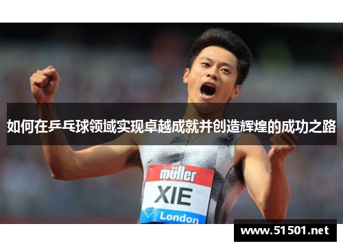 如何在乒乓球领域实现卓越成就并创造辉煌的成功之路