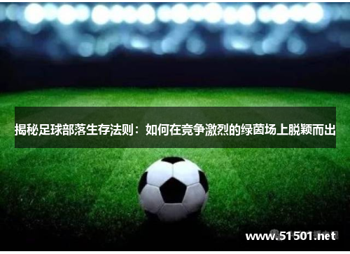 揭秘足球部落生存法则：如何在竞争激烈的绿茵场上脱颖而出