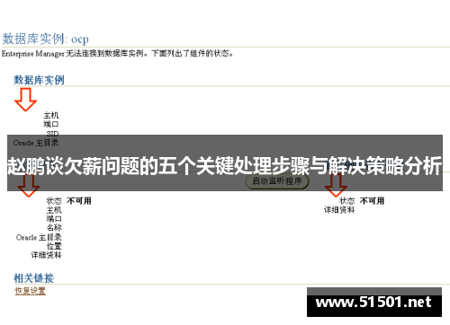 赵鹏谈欠薪问题的五个关键处理步骤与解决策略分析